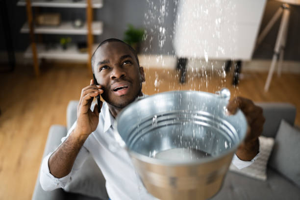 Best Water damage restoration near me  in USA